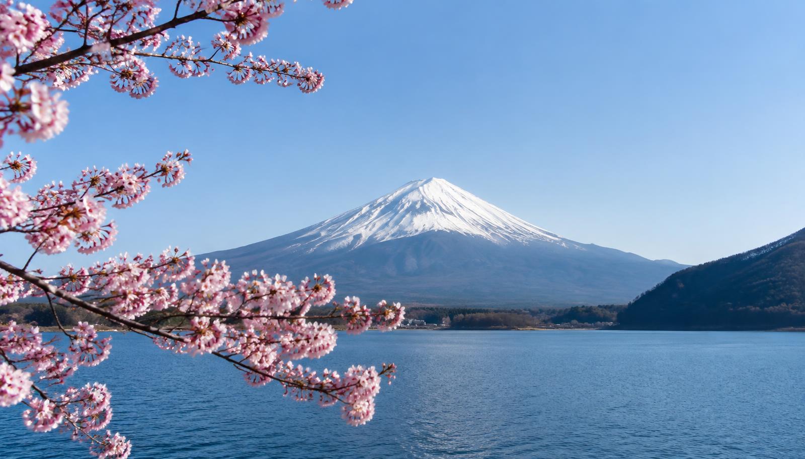 Snow capped Mount Fuji behind pink cherry blossoms over a lake