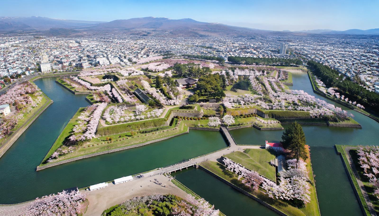 Aerial view of Goryokaku fort in Hakodate lined with cherry blossoms